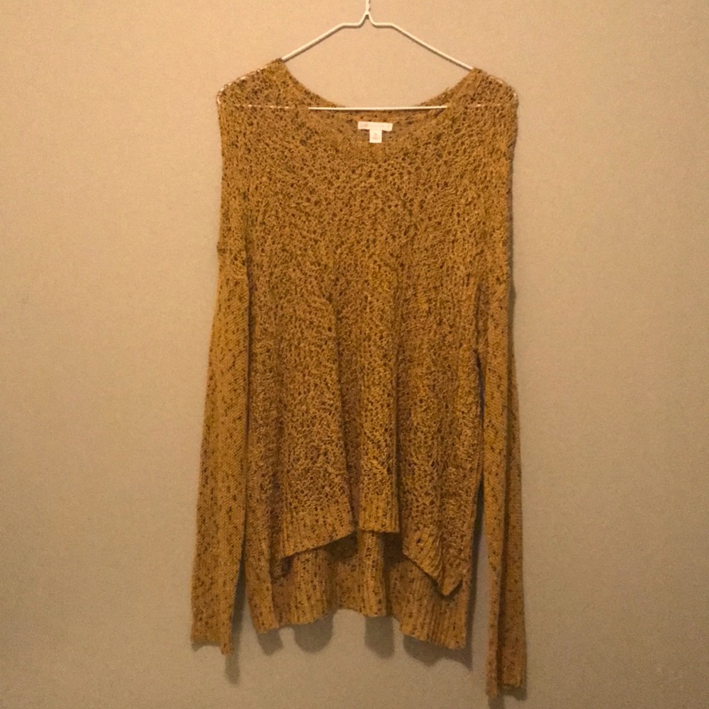 Cato’s barely worn sweater.